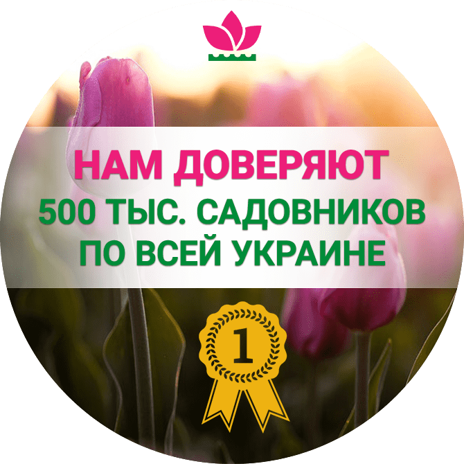 Сделано в Голландии