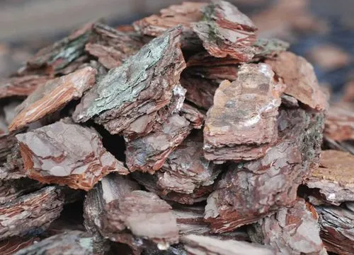 купить кору для орхидей кора Флориум