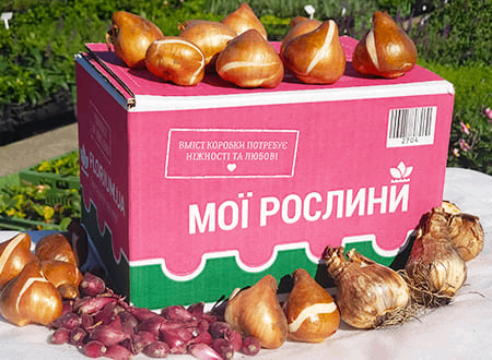 Приклад коробки Florium.ua